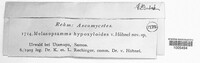 Image of Melanopsamma hypoxyloides